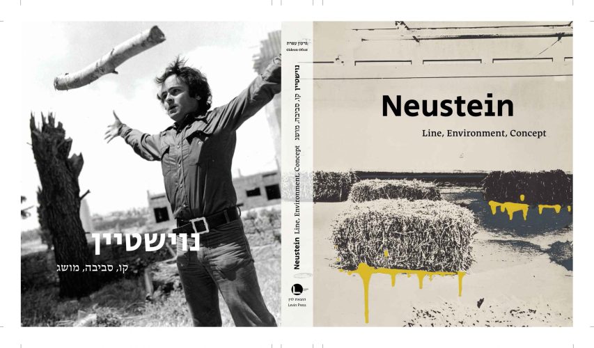 Neustein-Cover-1-copy