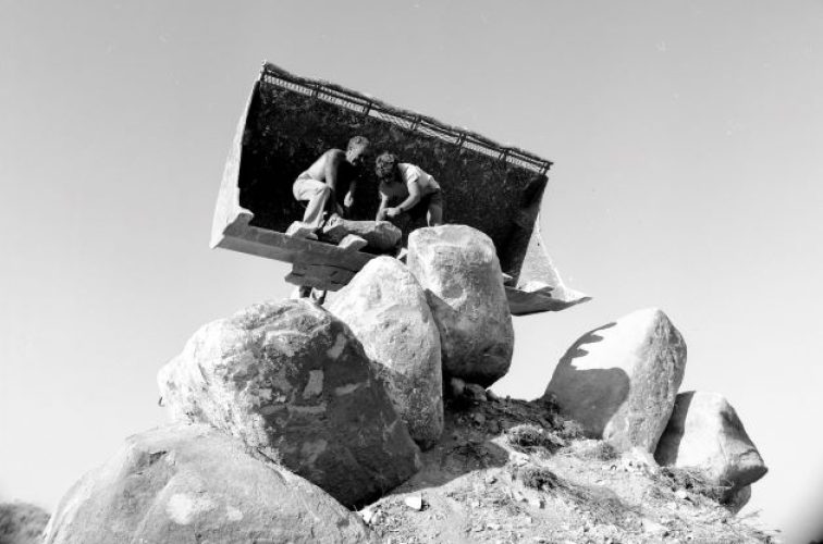 TelHai83_DavidFine_00755