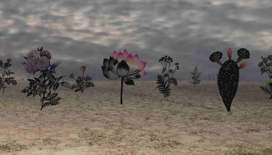 WhatsApp Image 2024-10-02 at 14.13.26