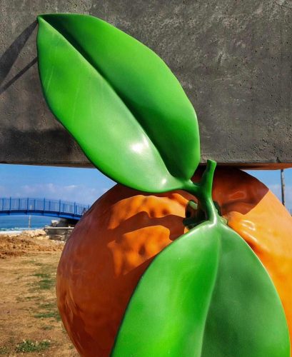 WhatsApp Image 2024-10-06 at 12.19.31