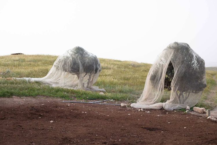 אבא-ואמא-2019-