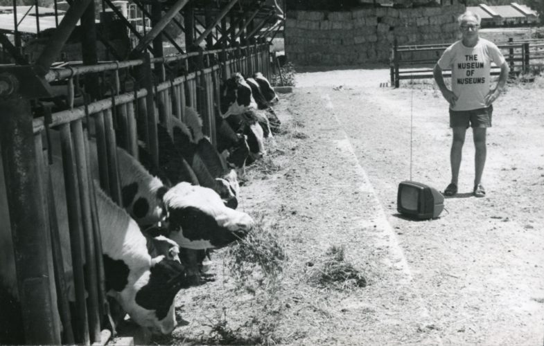 דב אורנר, פרה-ויזיה, 1980
