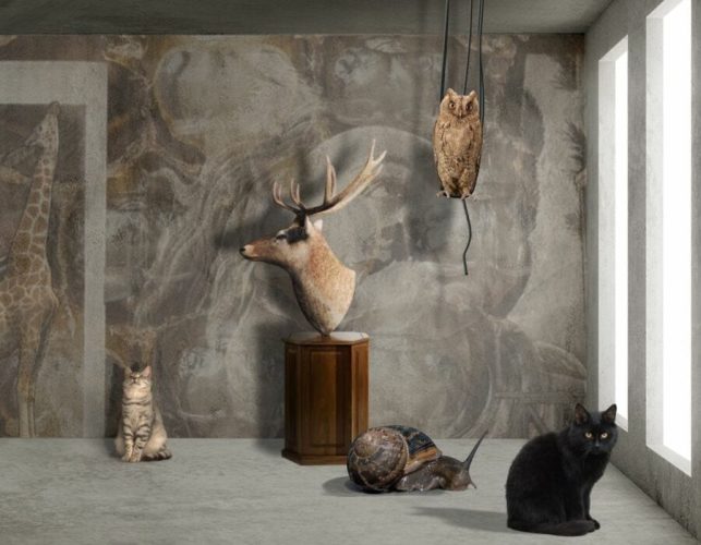 נבט-יצחק-פריים-מתוך-HERE-BE-DRAGONS-2023